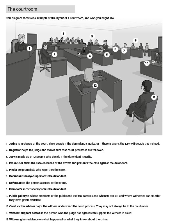 1. Judge is in charge of the court. They decide if the defendant is guilty, or if there is a jury, the jury will decide this instead.  

2. Registrar helps the judge and makes sure that court processes are followed. 

3. Jury is made up of 12 people who decide if the defendant is guilty.  

4. Prosecutor takes the case on behalf of the Crown and presents the case against the defendant. 

5. Media are journalists who report on the case. 

6. Defendant’s lawyer represents the defendant. 

7. Defendant is the person accused of the crime. 

8. Prisoner’s escort accompanies the defendant. 

9. Public gallery is where members of the public and victims’ families and whānau can sit, and where witnesses can sit after they have given evidence. 

10. Court victim advisor helps the witness understand the court process. They may not always be in the courtroom. 

11. Witness’ support person is the person who the judge has agreed can support the witness in court. 

12. Witness gives evidence on what happened or what they know about the crime. 